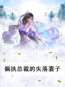 偏执总裁的失落妻子