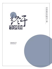 终于等到你了英文