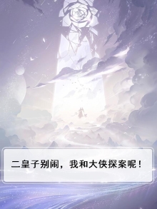 二皇子小说