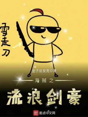 海贼之剑豪 小说