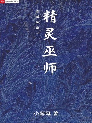 霍格沃茨的精灵族小说