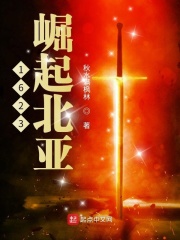 崛起北美1629
