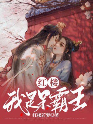 红楼我是呆霸王薛鹏小说