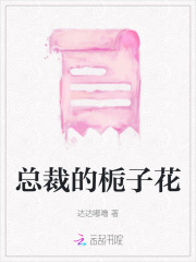 总裁的孩子小说