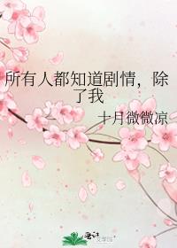 所有人都知道剧情,除了我 番茄