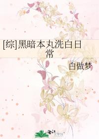 黑暗本丸洗白计划