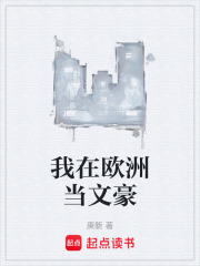 我在欧洲当文豪齐齐读小说网