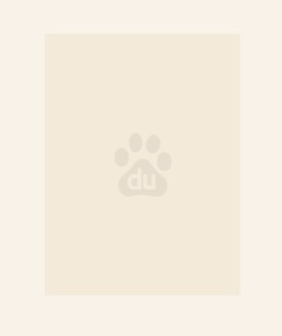 绝世炼丹师纨绔九小姐笔趣阁