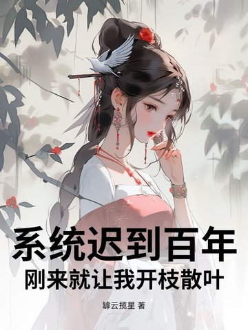系统迟到系列小说