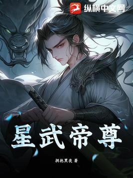 星武帝神 小说