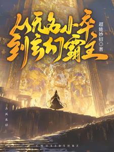 从一个无名小卒到风云人物的小说