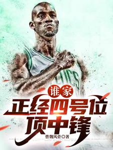 谁公认的历史第一大前锋小说
