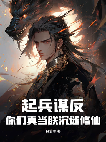 起兵谋反的小说