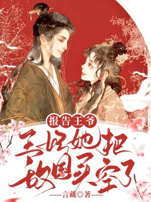 报告王爷王妃又被被抢了