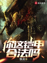 你这铠甲合法吗 笔趣阁