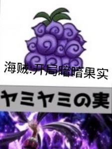 海贼开局暗暗果实小说