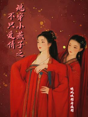 穿越之小燕子小说