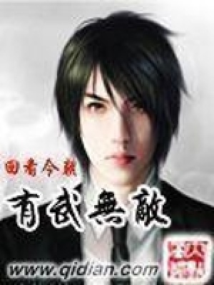 有武无敌小说