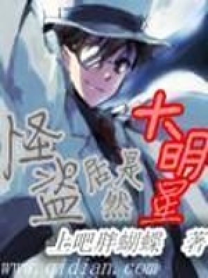 韩娱里的怪盗是什么