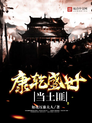 电视剧康乾盛世