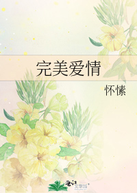 完美爱情韩剧全集免费观看