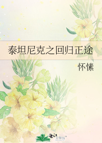 泰坦尼克之回归正途 百度网盘