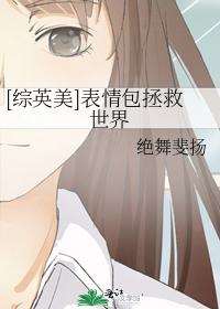 综英美表情包拯救世界 小说