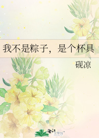 我不是粽子,是个杯具结局是什么