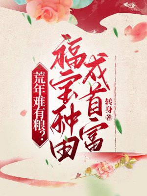 小说主角福宝