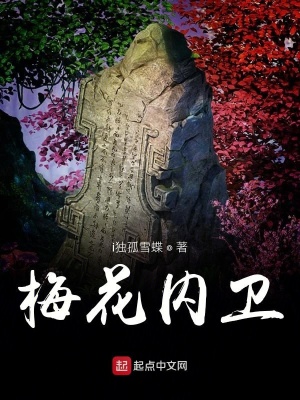 梅花内卫原型