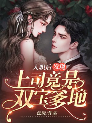 入职后发现上司竟是双宝爹地孩子在哪一篇相认