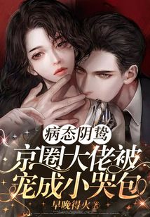 京圈大佬宠文