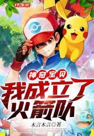 神奇宝贝我建立了火箭队