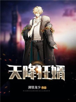 天降狂婿小说下载