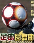 足球圆舞曲 小说