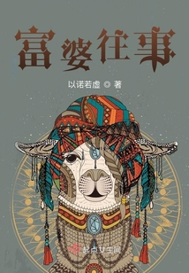 富婆往事小说