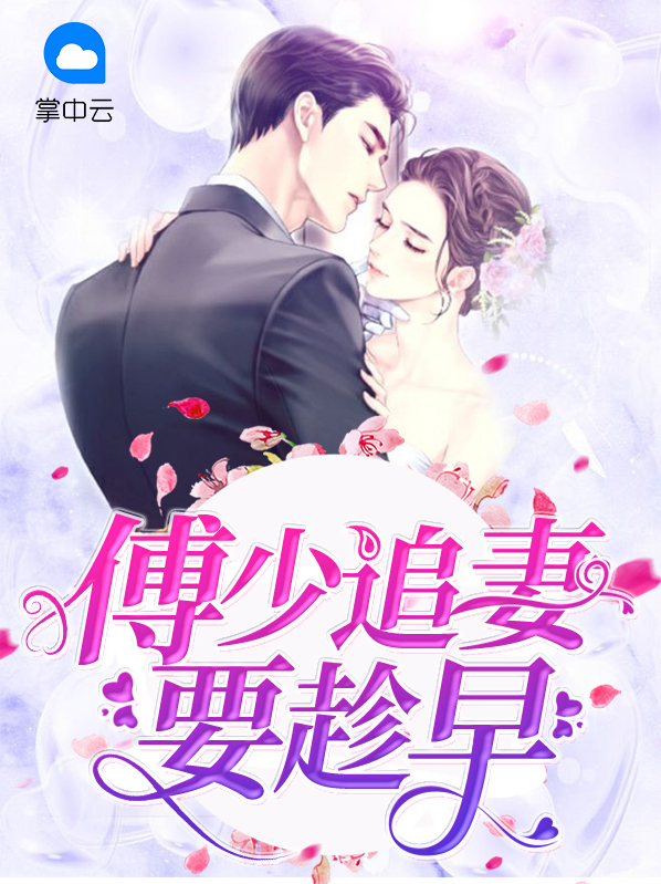 傅少追妻忙