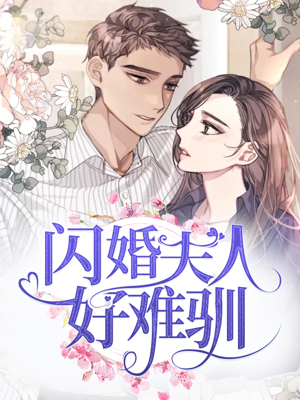 闪婚宠妻惹人疼