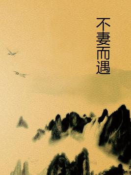 不妻而遇苏子诺小说全文免费