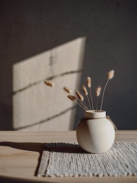 我的合租室友