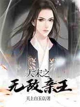 大宋之无敌亲王小说