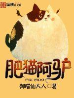 肥猫系列