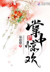 太子掌中欢小说