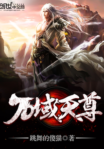万域天尊小说