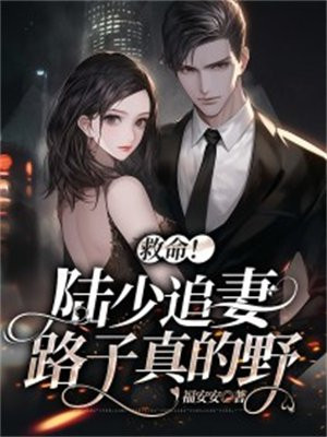 陆少追妻不晚陆少的心尖宠