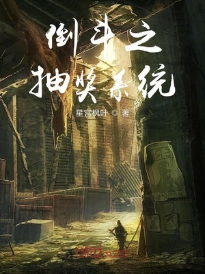 倒斗类小说