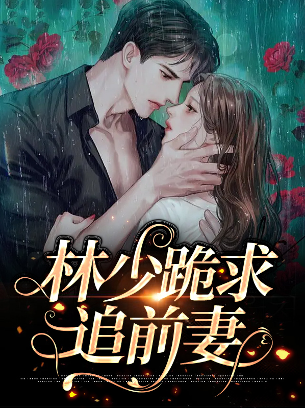 林少的追妻指南