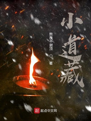 小道藏读音