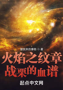 火焰纹章 战斗
