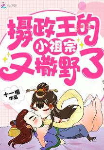 摄政王的小祖宗又撒野了分割线